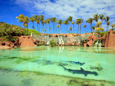 Sight Seing Trips Bahamas